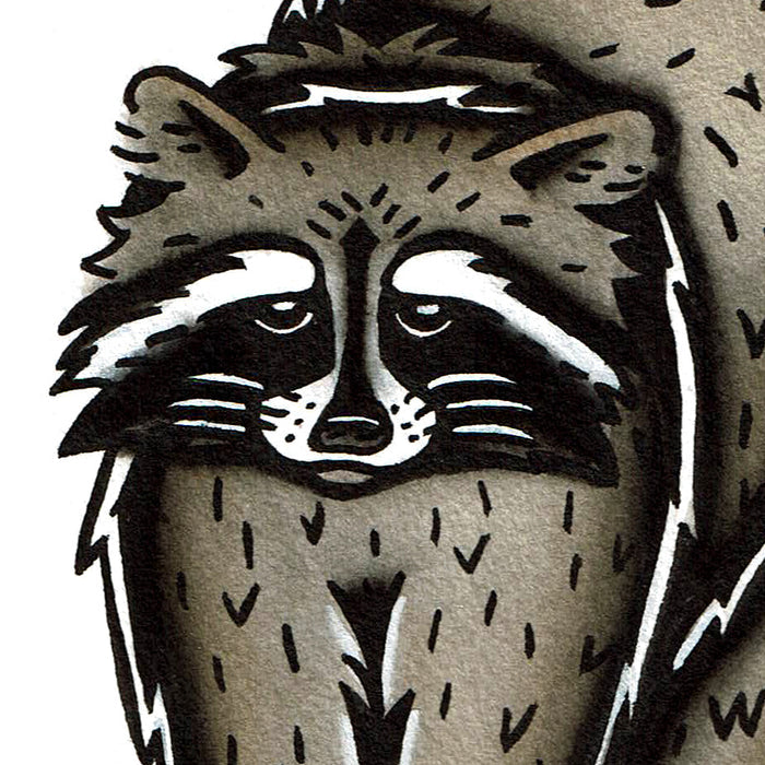American traditional tattoo flash wildlife illustration Raccoon ink and watercolor painting.