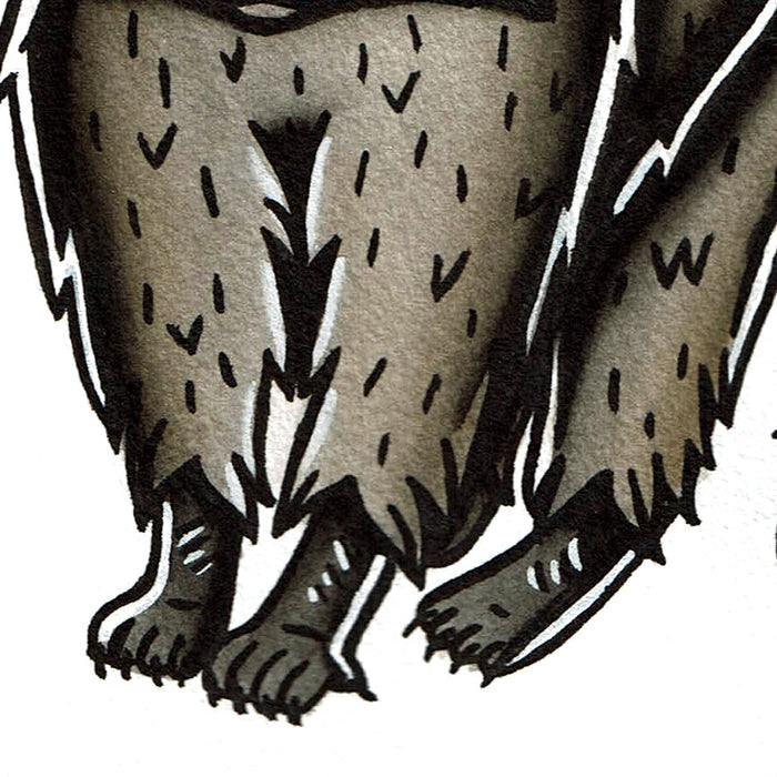 American traditional tattoo flash wildlife illustration Raccoon ink and watercolor painting.