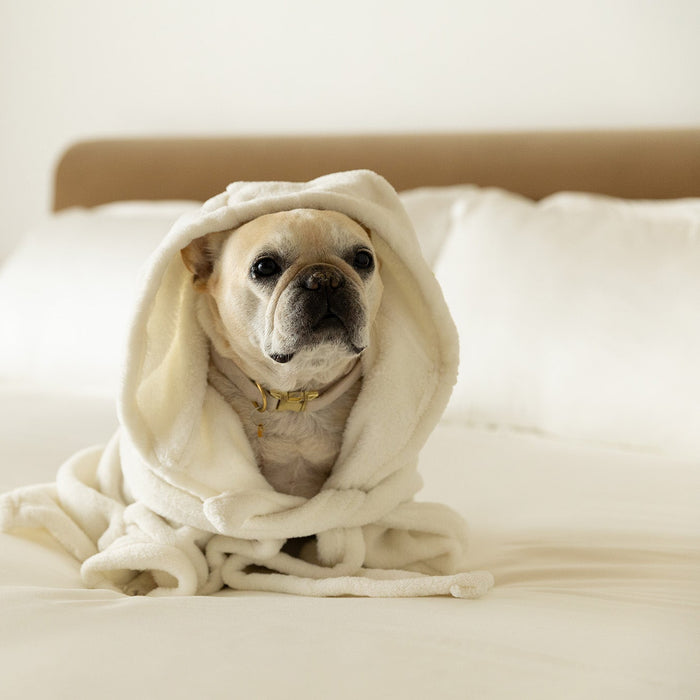 Sateen Duvet Cover in Ivory White
