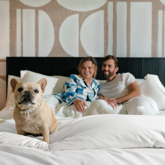 Sateen Duvet Cover in Ivory White