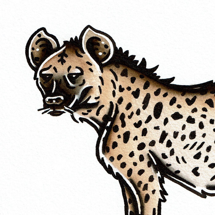 American traditional tattoo flash wildlife illustration Spotted Hyena ink and watercolor painting.