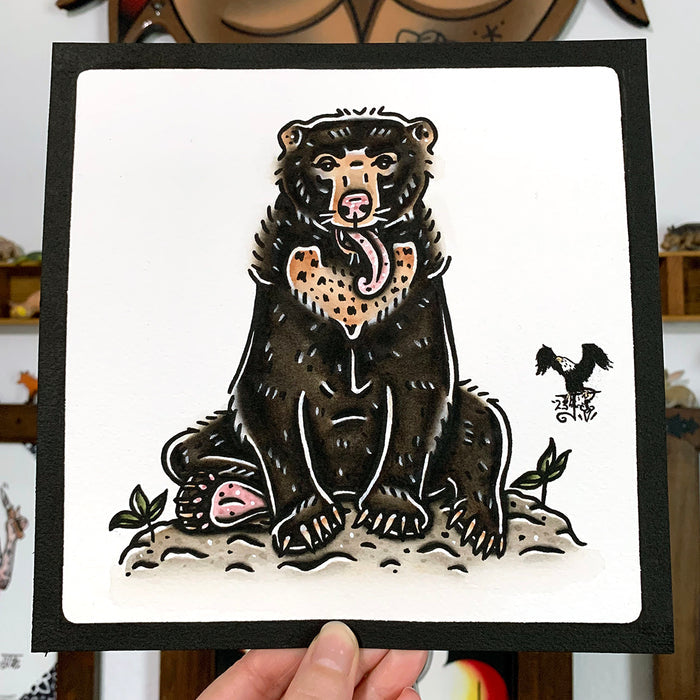 American traditional tattoo flash wildlife illustration Sun Bear ink and watercolor painting.