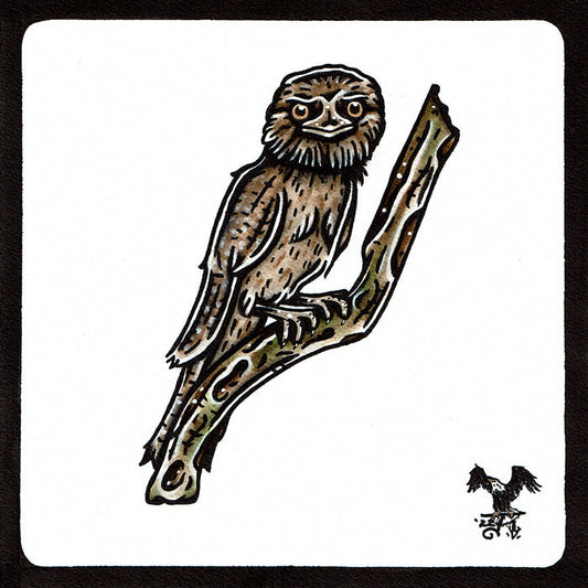 American traditional tattoo flash Wildlife illustration Tawny Frogmouth watercolor painting.