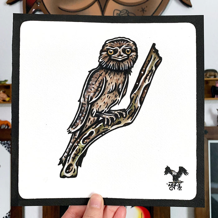 American traditional tattoo flash Wildlife illustration Tawny Frogmouth watercolor painting.